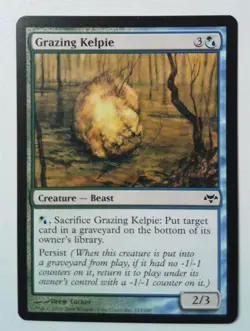 Grazing Kelpie *PLAYSET* Magic MtG x4 Eventide SP - Image 1