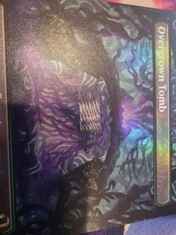 Overgrown Tomb (Borderless) Lorwyn Eclipsed Foil （roller mark/hickey） - Image 3