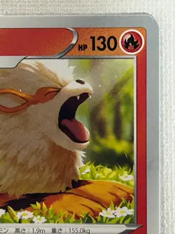 Arcanine 338/S-P Promo Illustration Contest 2022 Pokemon Card Japanese (NM) - Image 3