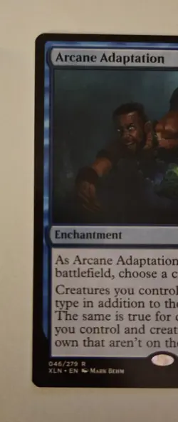 3x Arcane Adaptation - NM - Rare - MTG Ixalan ⚔B&B - Image 2