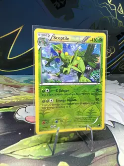 Sceptile Plasma Freeze 8/116 Reverse Holo Pokemon TCG - Image 3