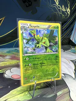 Sceptile Plasma Freeze 8/116 Reverse Holo Pokemon TCG - Image 5