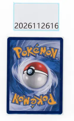 PTCG Pokemon Charizard V MAX 079/S-P 2023 promo S.Chinese - Image 2