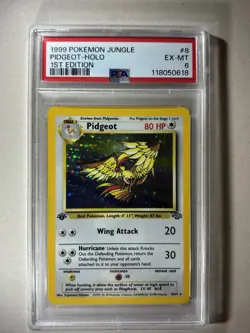 1ST EDITION 1999 VINTAGE POKEMON Pidgeot 08/64 Jungle Holo PSA 6 EX-MT ! RARE⚡ - Image 1