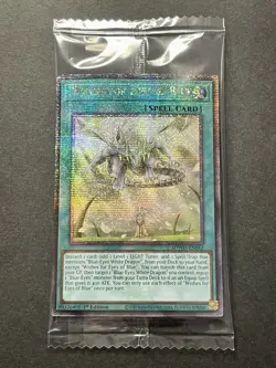 Wishes For Eyes Of Blue | Quarter Century Secret Rare | SEALED! | YuGiOh! - Image 1