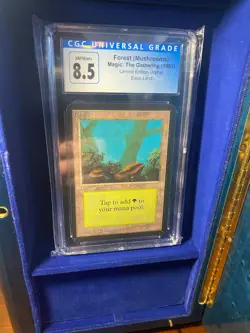 MTG *** Graded Limited: Alpha *** Forest CGC 8.5 - Image 2
