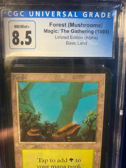 MTG *** Graded Limited: Alpha *** Forest CGC 8.5 - Image 3