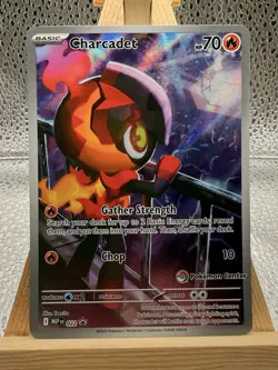 Charcadet 022 Black Star Promo Phantasmal Flames Pokemon Center Stamped - Image 1
