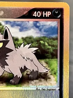 Poochyena 63/109 Ex Ruby and Sapphire Reverse Holo Pokemon TCG LP - Image 3