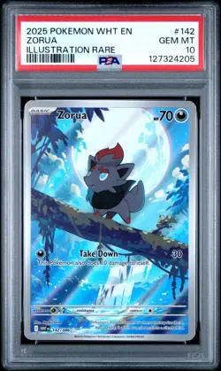 2025 POKEMON WHT EN-WHITE FLARE ILLUSTRATION RARE #142 ZORUA PSA 10 - Image 1