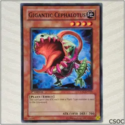 Gigantic Cephalotus - CSOC-EN025 - Common 1st Edition Yugioh - Image 1