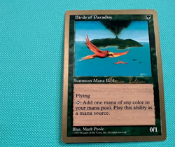 Birds of Paradise - 1998 World Championship Deck - MTG - Magic the Gathering - Image 2