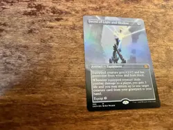 Sword of Light and Shadow (Borderless) Double Masters Foil - Image 1