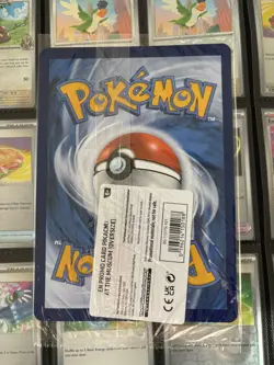 Pokemon x Natural History Museum Pikachu Jumbo Promo Card - Image 2