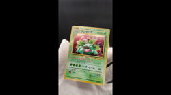 3 Set Venusaur Charizard Blastoise CD Promo Holo MP Japanese Pokemon Card #11 - Image 2