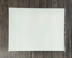 MTG Magic the Gathering Guru Land 5 Print Set Terese Nielsen Signed Art Print - Image 3