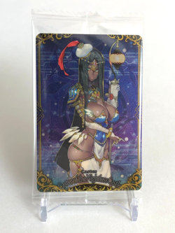 Caster of the Nightless Castle FGO PROJECT Wafer Card R 17 Type-moon Japanese c - Image 1