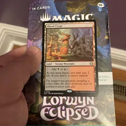 Blood Crypt MINT 262 Lorwyn Eclipsed ECL MTG Regular Rare Land Unplayed Paquette - Image 1