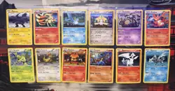 Pokemon Cards TCG Black White 2011-2013 Era 24 Card Lot for Obicardz - Image 2