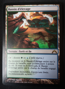 Bassin d'elevage / Breeding Pool FRENCH NM Gatecrash magic mtg - Image 1