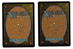 MTG OCELOT PRIDE TEXTLESS FOIL GUIDE OF SOULS FOIL STORE CHAMPIONSHIP PROMO - Image 2