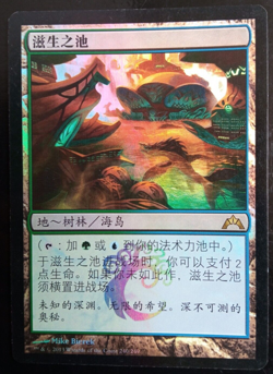 Bassin d'elevage / Breeding Pool FOIL CHINESE LP Gatecrash magic mtg - Image 1