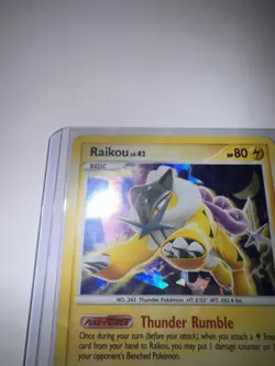 Raikou 16/132 SW Rare Secret Wonders Holo Pokemon - Image 3