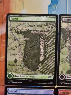 Lord of the Rings Full Art Lands - Reg, Foil, Surge Foil - Magic the Gathering - Image 2