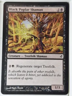 Black Poplar Shaman - Lorwyn - Magic the Gathering MTG Nice! - Image 1