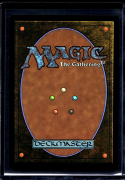 2025 MTG Magic the Gathering SLD Secret Lair Borderless #1321 Auntie's Hovel - Image 2