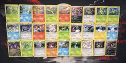 Pokemon Cards TCG Black White 2011-2013 Era Lot - 48 Holos READ DESCRIPTION - Image 1