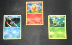 Pokemon - Torchic, Mudkip, and Treecko Sheen Holo Promo Lot - Image 1