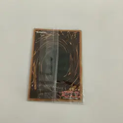 Stardust Dragon TN23-EN016 Quarter Century Secret Rare Limited Edition Yugioh - Image 2