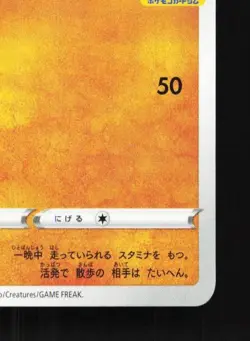 Riolu 260/S-P NM Sword & Shield Promos Japanese Pokemon Card TCG - Image 3