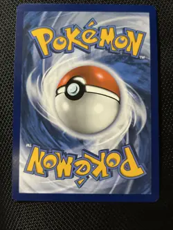 Lacey 172/142 Special Illustration Rare Stellar Crown Pokemon TCG - Image 2
