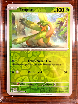 Tropius Reverse Holo #007 - CGC MINT 9 - 2023 SV Scarlet & Violet - Pokemon TCG - Image 2