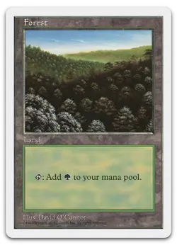 Forest (446) #446 (LP) Fifth Edition 5ED Magic MTG - Image 1