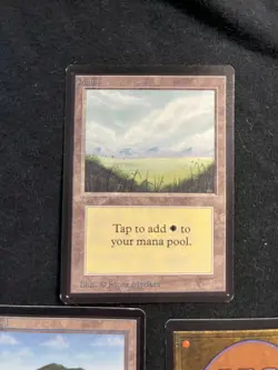 Magic the Gathering All Five Basic Lands BETA Never Played - Image 2