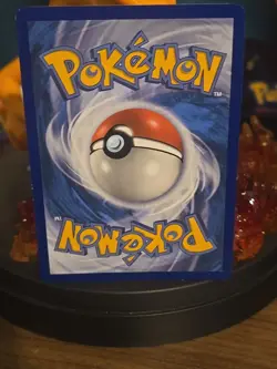 Pokemon TCG Pikachu 28/73 Water Web Holo Promo - Sun & Moon Shining Legends - NM - Image 4