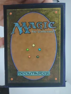 2x Seedguide Ash LP Lorwyn Small Seller 💌 Fast Free Shipping! - Image 3