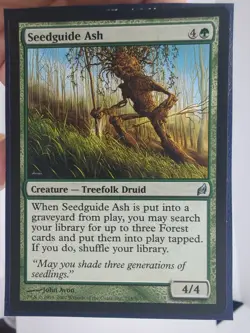 2x Seedguide Ash LP Lorwyn Small Seller 💌 Fast Free Shipping! - Image 4
