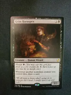 2019 Commander Grim Haruspex Commander Rare #118 Magic The Gathering MTG Tcg - Image 3