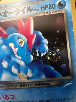 Dark Feraligatr Holo No.160 Japanese Neo Destiny Old Back TCG Pokemon Card SWIRL - Image 4