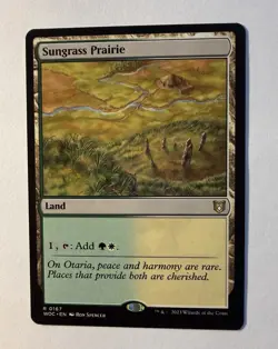 x1 Sungrass Prairie R MTG Commander: Wilds of Eldraine M/NM, English - Image 1