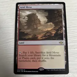 1x MTG Arid Mesa - Modern Horizons 2 (MH2) #244 - Magic the Gathering LP - Image 1