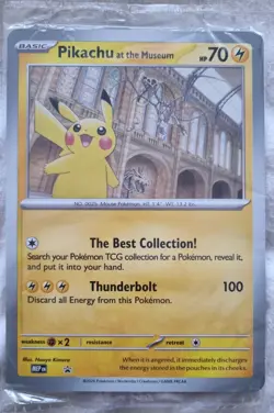 Pokemon National History Museum🔥 Pikachu Promo Jumbo Card✅ In Hand SEALED!!🎁 - Image 1