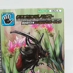 065-A Eupatorus eupatorus The King of Beetle Mushiking Weedle Card Game - Image 3