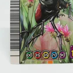 065-A Eupatorus eupatorus The King of Beetle Mushiking Weedle Card Game - Image 4