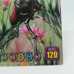 065-A Eupatorus eupatorus The King of Beetle Mushiking Weedle Card Game - Image 5