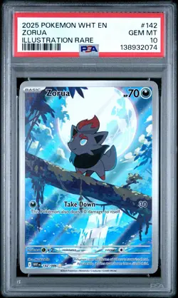 Zorua Illustration Rare 142/086 Pokemon WHT EN White Flare PSA 10 GEM MT - Image 1
